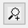 icon-zoom_.png