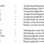 zweiteiliger-korbbogen-1.png